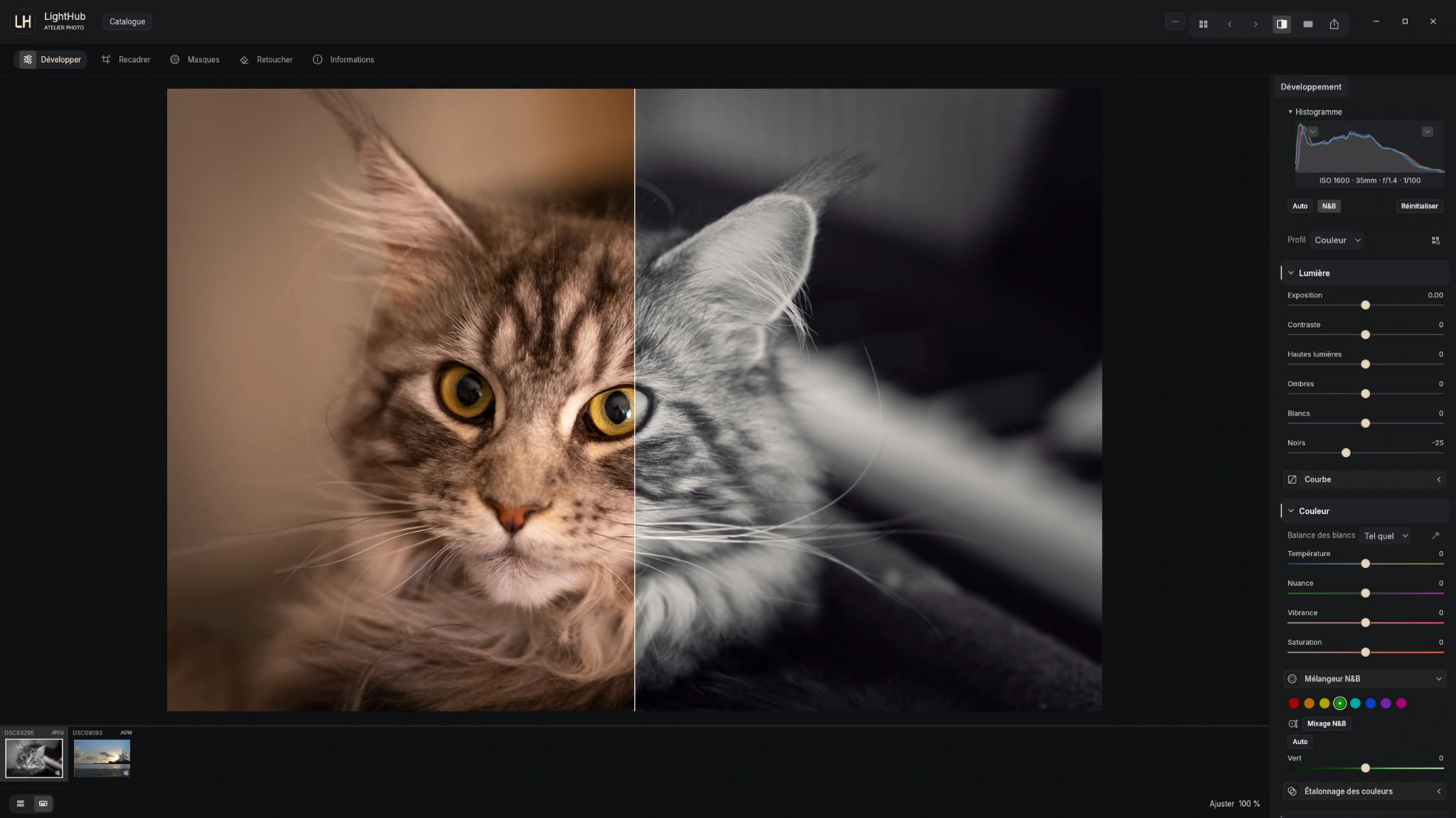 A side-by-side comparison of color and black-and-white looks.