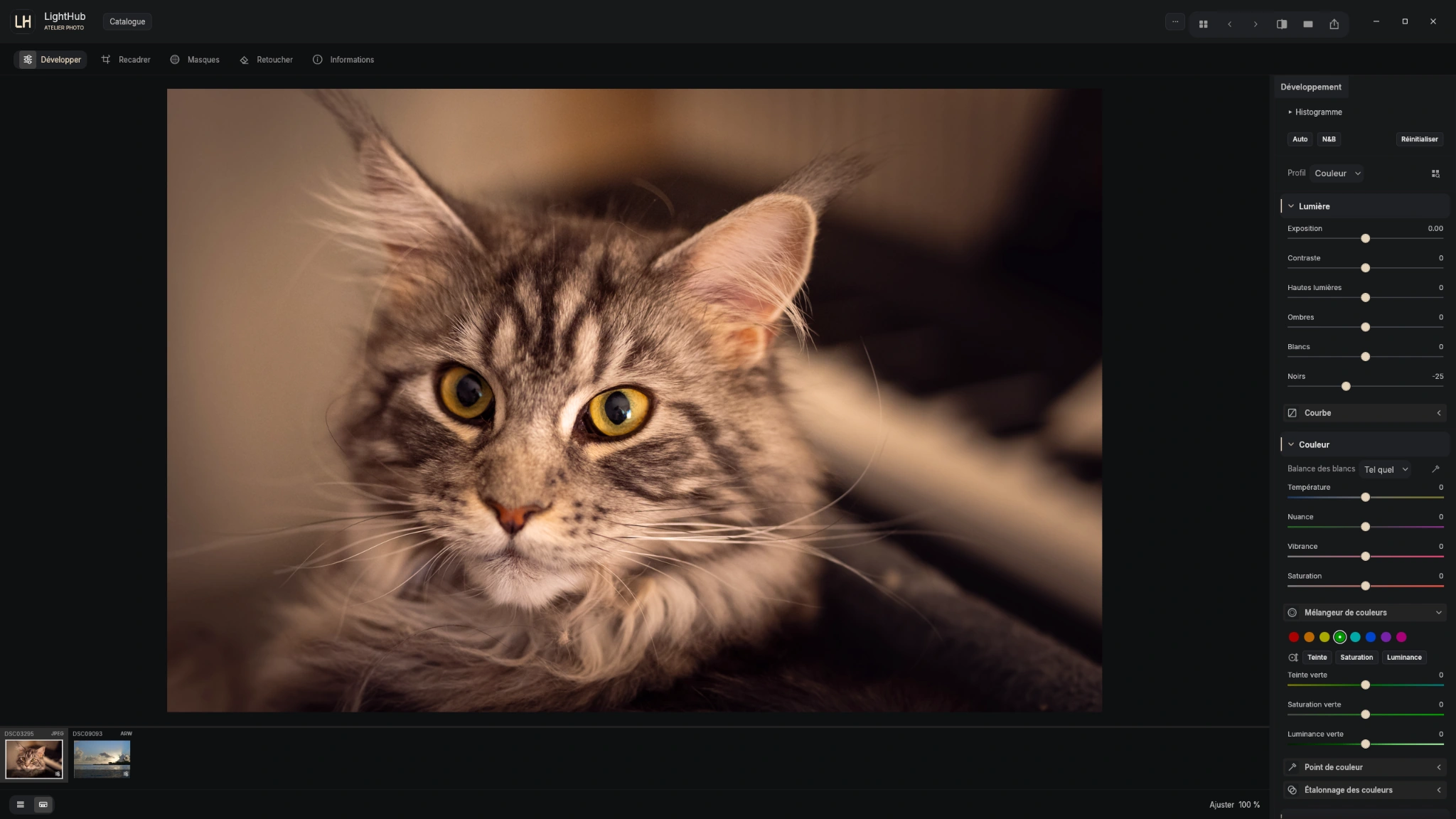 The Windows editor, with light and color adjustments to the right of your image.