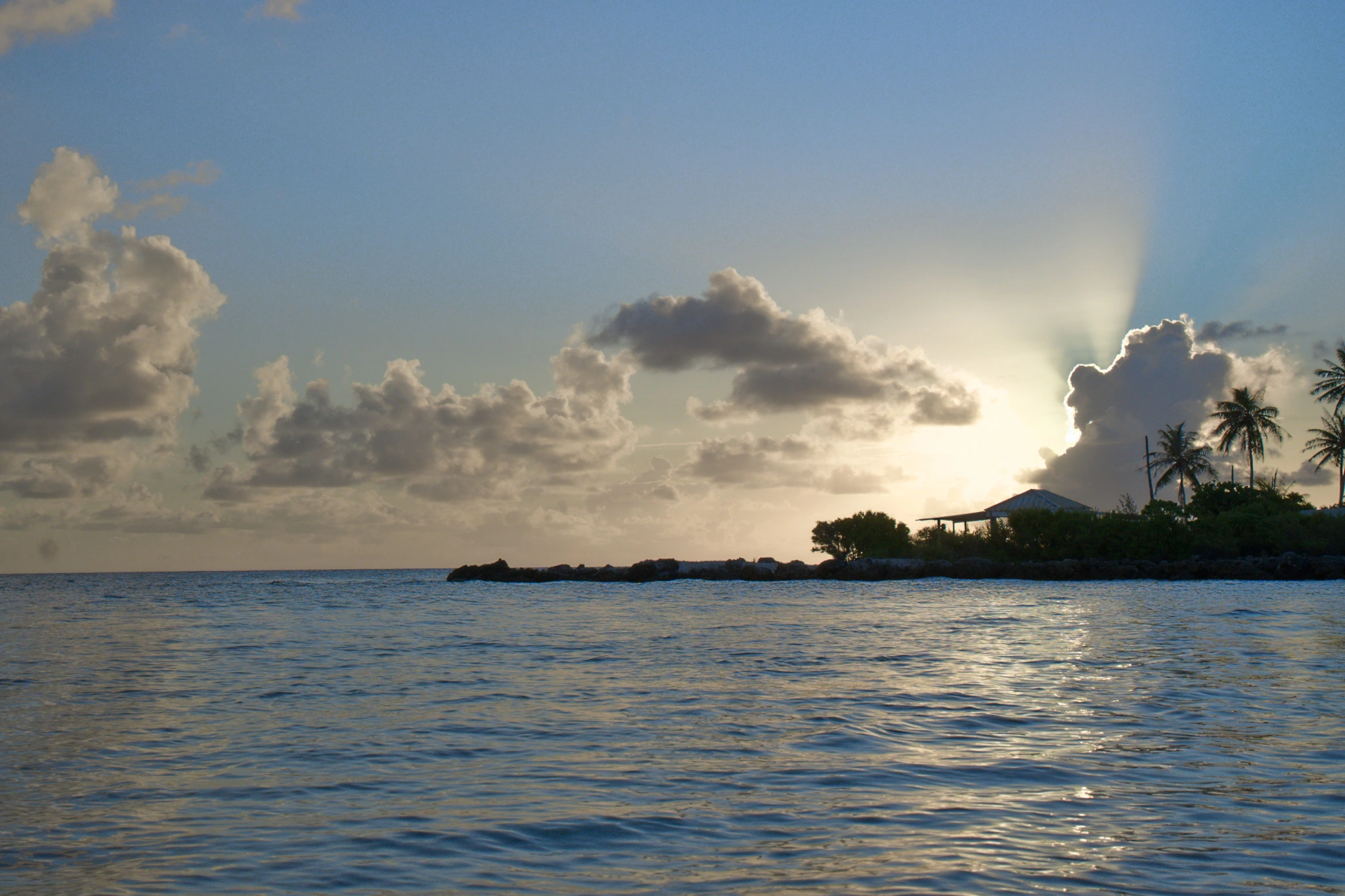 Sunset over the sea and palm trees