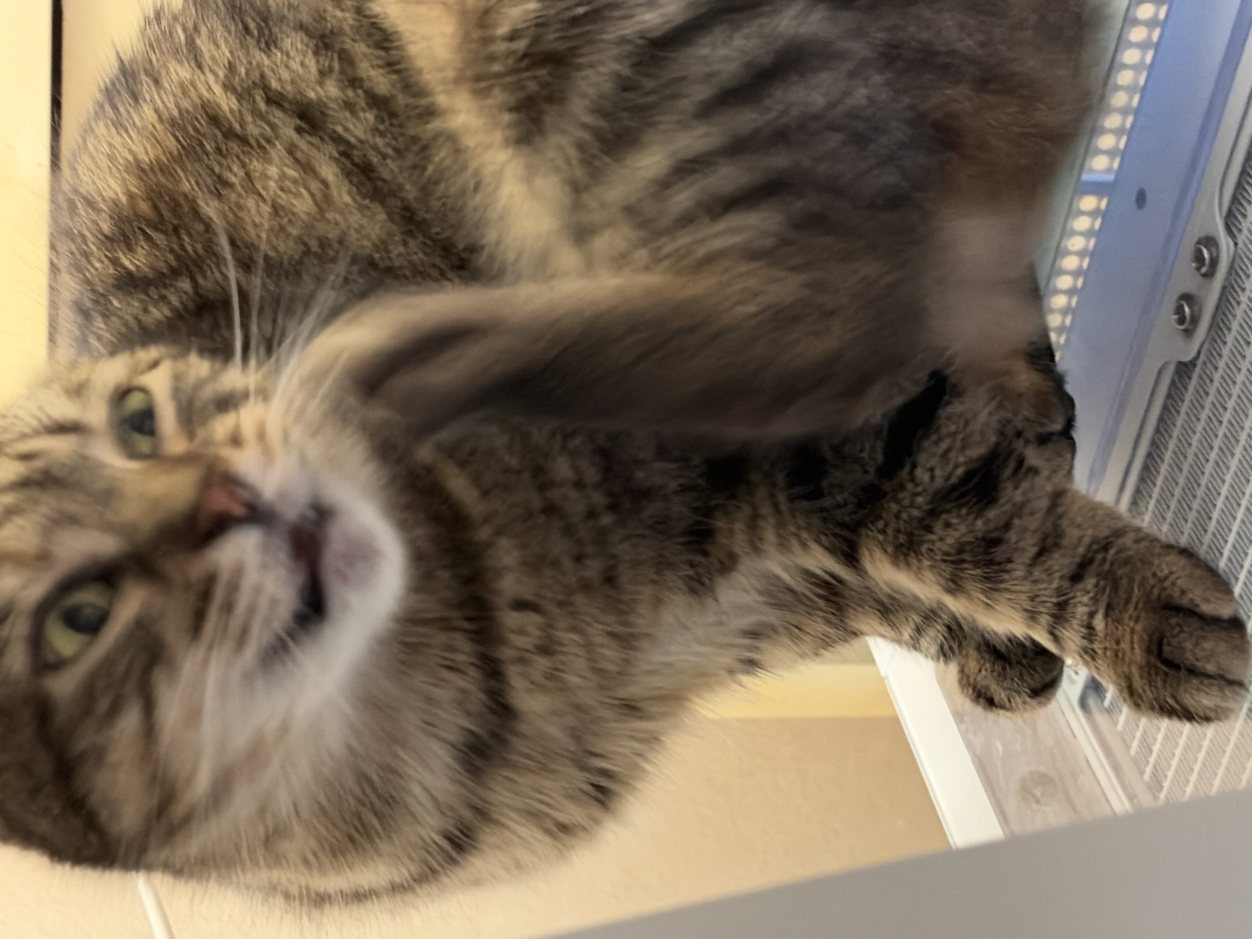 Test
